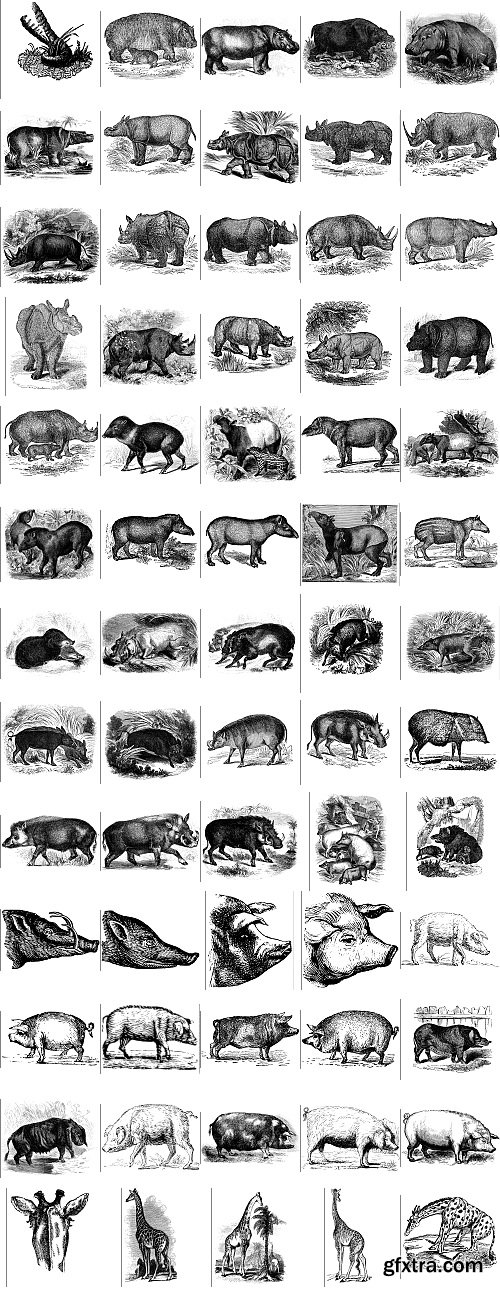 The Pepin Press - 5000 Animals, 2531xTIFF