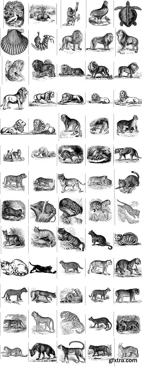 The Pepin Press - 5000 Animals, 2531xTIFF