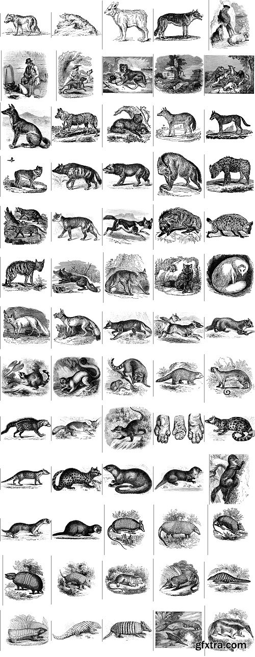 The Pepin Press - 5000 Animals, 2531xTIFF