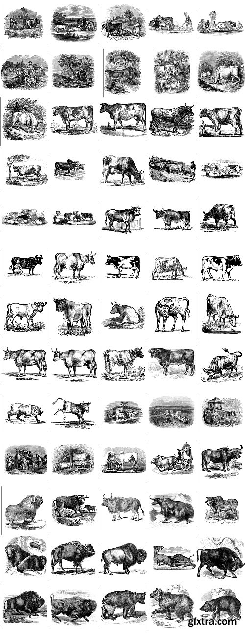 The Pepin Press - 5000 Animals, 2531xTIFF