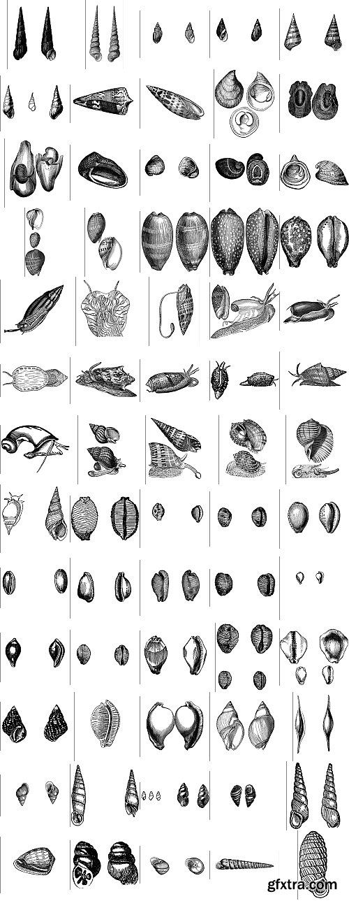 The Pepin Press - 5000 Animals, 2531xTIFF