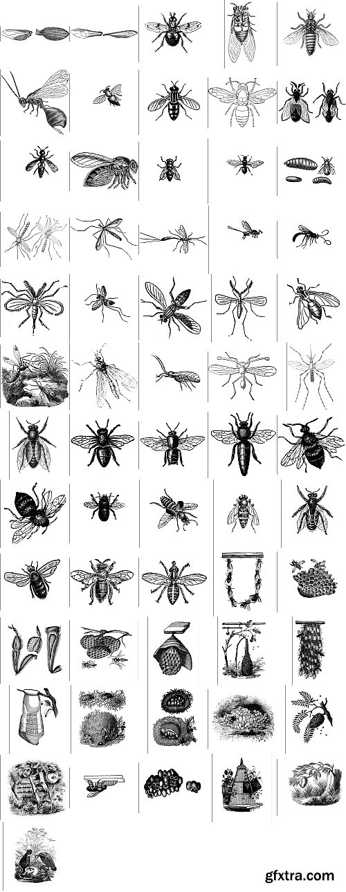 The Pepin Press - 5000 Animals, 2531xTIFF