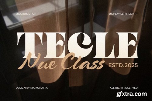 CreativeMarket - Tecle Font Duo Typeface