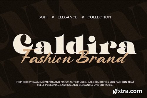 CreativeMarket - Tecle Font Duo Typeface