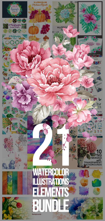 21 Watercolor Illustrations Elements Bundles