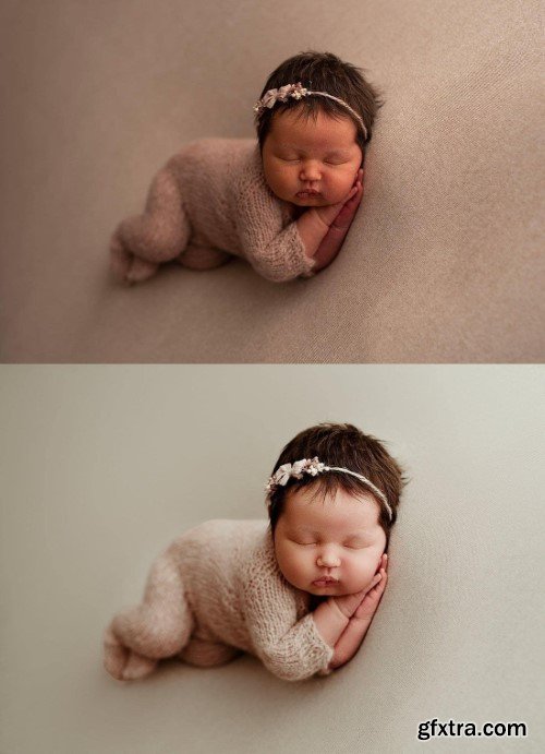 Appleseed Studio Preset Collection