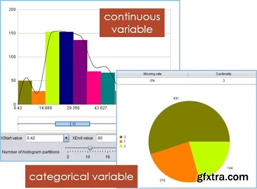 Raqsoft YModel 1.3.8
