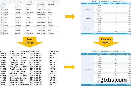 Raqsoft ReportLite 20250806