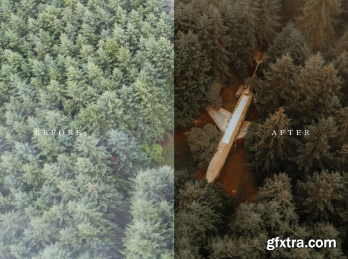 Chris Henry Photography - Forest & Foliage Presets