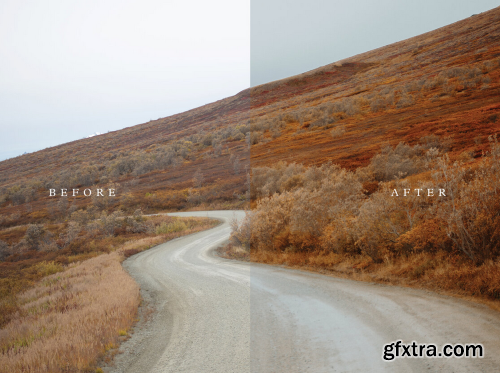 Chris Henry Photography - Forest & Foliage Presets