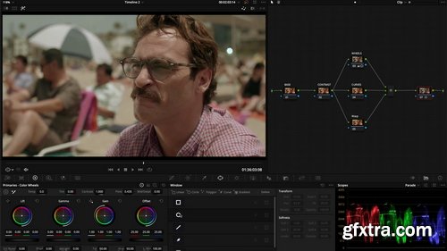 Plasma Film - Professional Colorist Masterclass