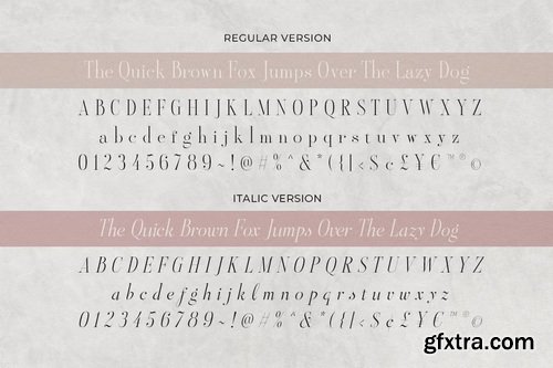 CreativeMarket - Aesthetic Styles Tall Serif