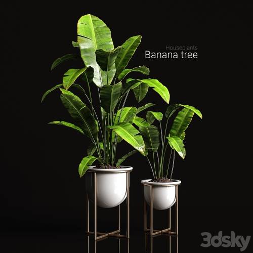 '3dsky Pro - Houseplants banana tree'