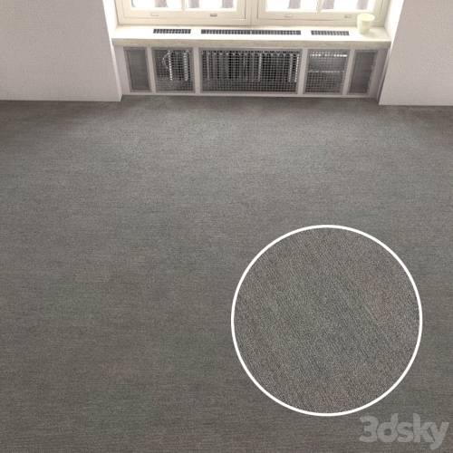 '3dsky Pro - Carpet covering 132'