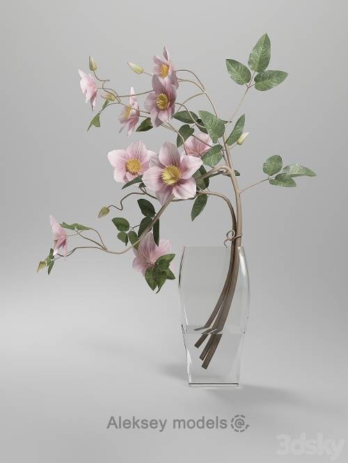 '3dsky Pro - Vase Clematis Do.'