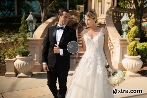 Dvlop - Visual Flow - Modern Pack