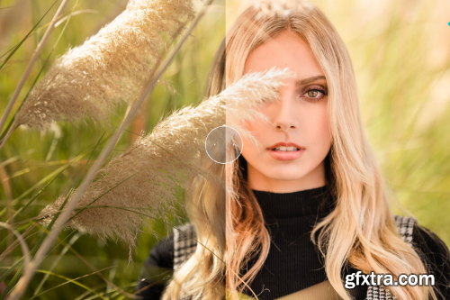 Dvlop - Visual Flow - Modern Pack