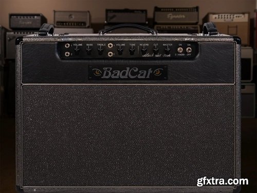 Alter Amp Works BC30 Sampson 212 Tonex Capture Pack Alter Amp Works BC30 Sampson 212 Tonex Capture Pack