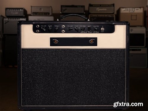 Alter Amp Works BC30 Sampson Tonex Capture Pack Alter Amp Works BC30 Sampson Tonex Capture Pack