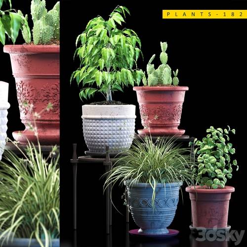 '3dsky Pro - PLANTS 182'