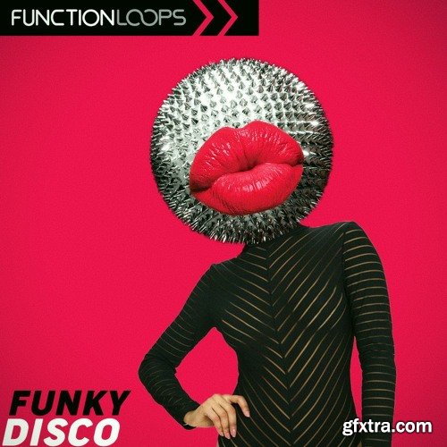 Function Loops Funky Disco Function Loops Funky Disco