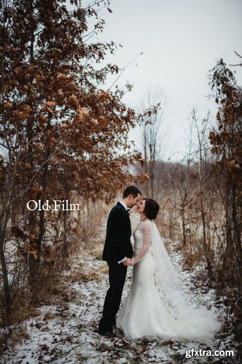 Twig & Olive Photography - Be Bold Presets