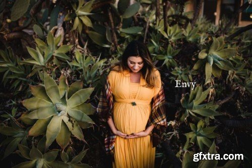 Twig & Olive Photography - Be Bold Presets