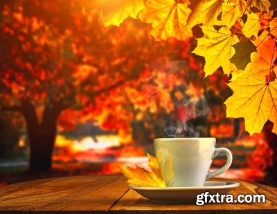 Delicious Tea & Coffee with Steam in a Mug 25xJPG