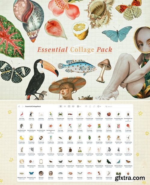 Pixelbuddha - Essential Collage Pack 5100