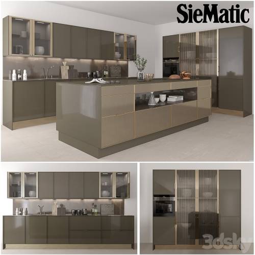 '3dsky Pro - Siematic Cuisine' '3dsky Pro - Siematic Cuisine'