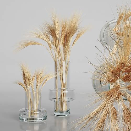 '3dsky Pro - Wheat bouquets' '3dsky Pro - Wheat bouquets'
