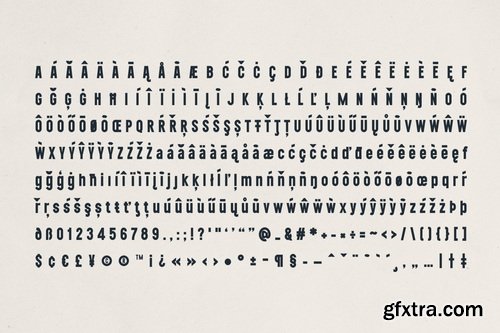 CreativeMarket - Nexline Bold Sans Serif Font