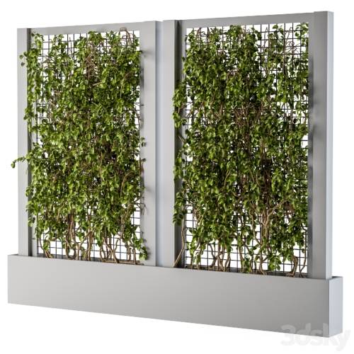 '3dsky Pro - ivy Box Plants Gray' '3dsky Pro - ivy Box Plants Gray'