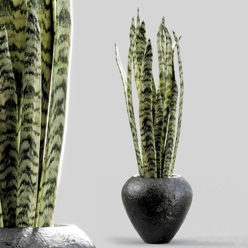 '3dsky Pro - Branches in vases 21' '3dsky Pro - Branches in vases 21'