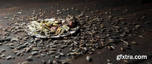 Geo-Swarm: Advanced Creature Simulations v3.0 for Blender