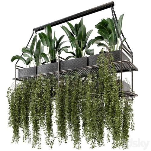'3dsky Pro - Indoor Hanging Plants in Metal Box - Set 269' '3dsky Pro - Indoor Hanging Plants in Metal Box - Set 269'