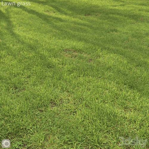 '3dsky Pro - Grass lawn' '3dsky Pro - Grass lawn'