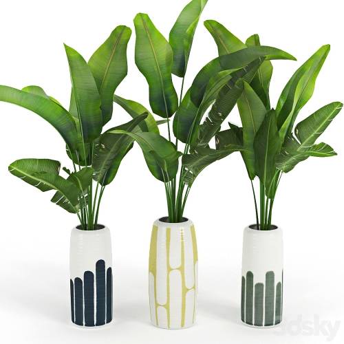 '3dsky Pro - Banana_Palm_Striped_Tall_Vase' '3dsky Pro - Banana_Palm_Striped_Tall_Vase'