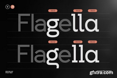 CreativeMarket - GC Allio Minimal Sans Mastery