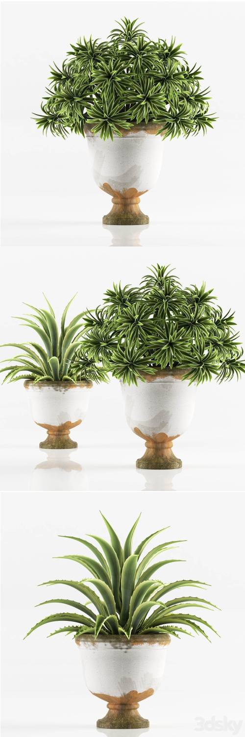 '3dsky Pro - PLANTS 6'