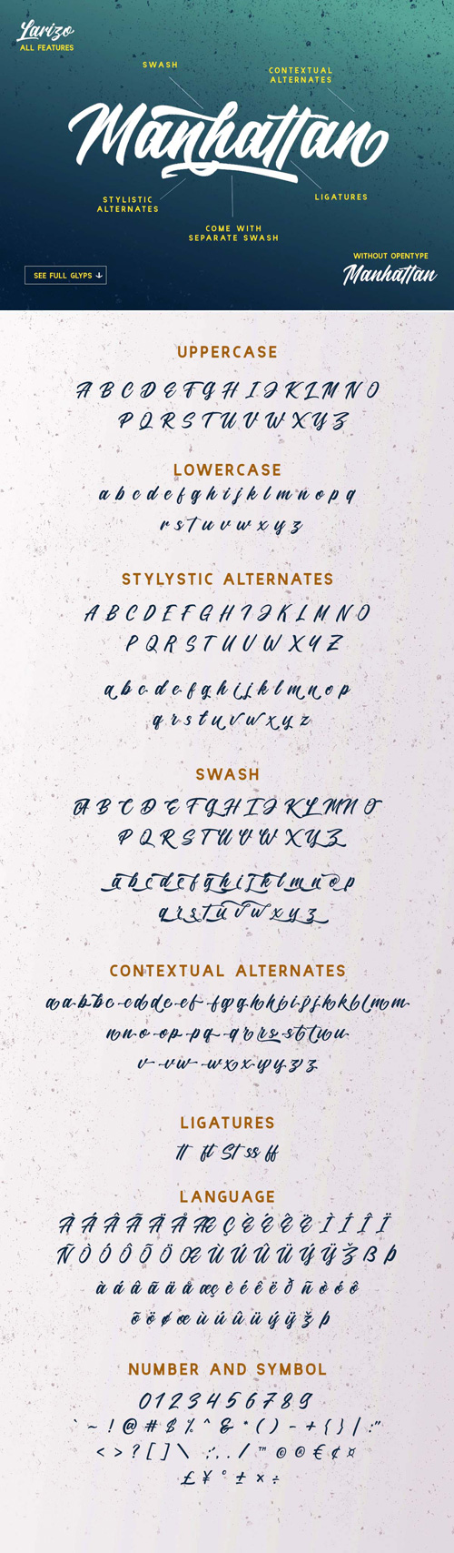 Larizo Script Font 1322792