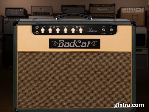 Alter Amp Works LUCA Tonex Capture Pack