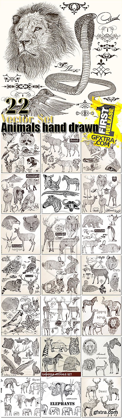 Animals collection of 22 vector hand drawn detailed for design