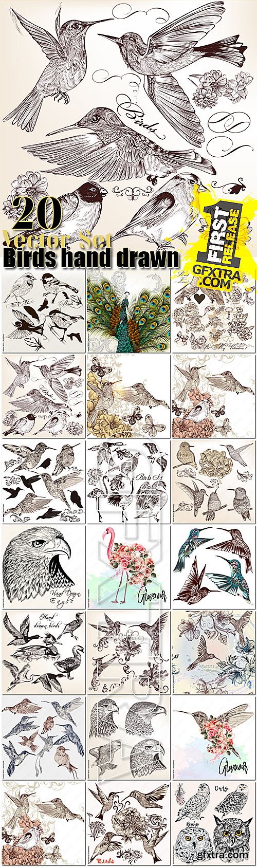 Birds collection of 20 vector hand drawn detailed for design