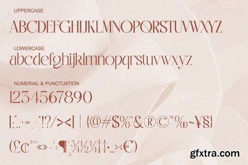 CreativeMarket - The Glamorica Modern Elegant