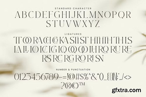 CreativeMarket - Master Modern Ligature Serif Font