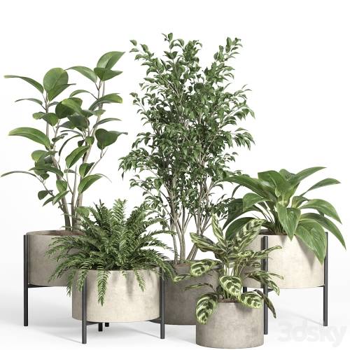 '3dsky Pro - indoor plant set 52-concrete and metal pot'
