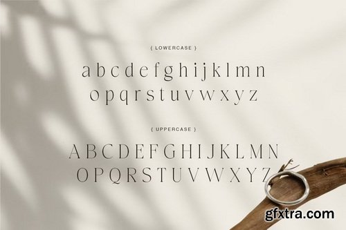 CreativeMarket - Carolan Elegant Display Serif