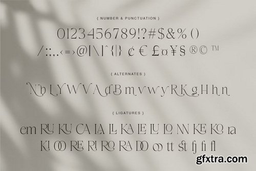 CreativeMarket - Carolan Elegant Display Serif