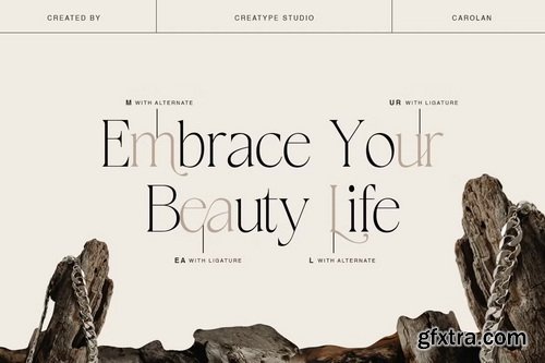 CreativeMarket - Carolan Elegant Display Serif